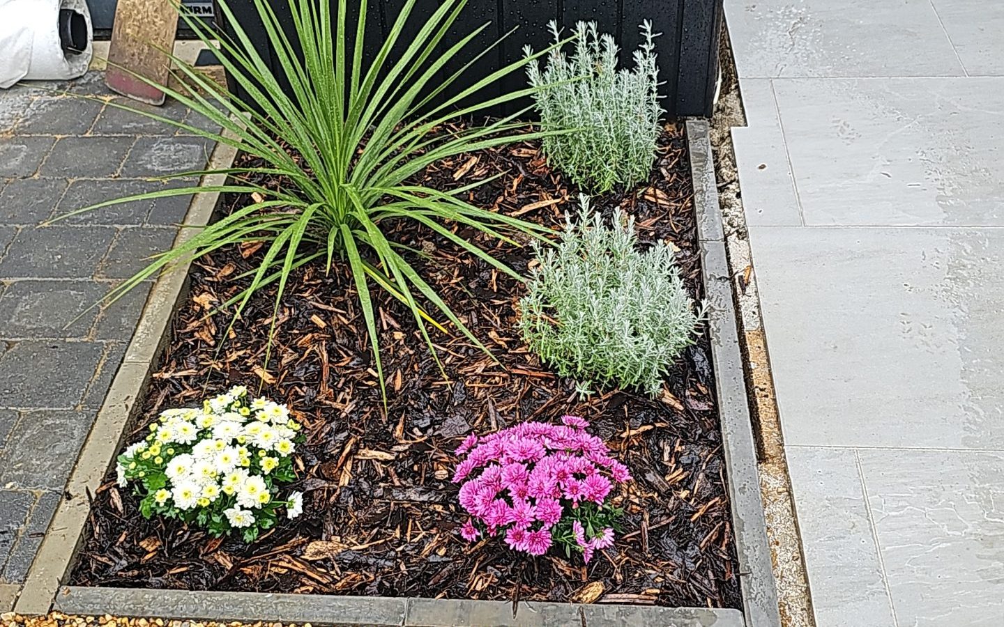 Small Garden bed with damp mulch